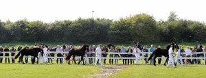 Foto: Jacob Melissen, Persburo Jacob Melissen, Pesse, the Netherlands.